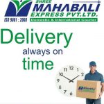 Shree Mahabali Courier Tracking - Express Delivery Status