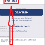 Forex Cargo Tracking Delivery Status – Track Your Balikbayan Box Online
