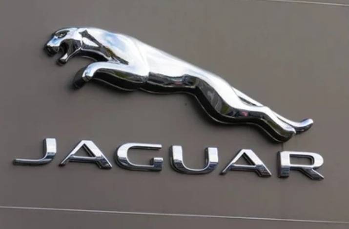 Jaguar Tracking